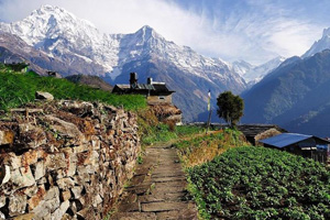 Annapurna Poon Hill Trek 5 Days